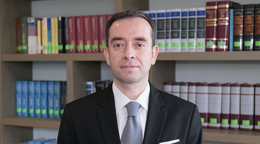 Pablo Andrés Alarcón Peña